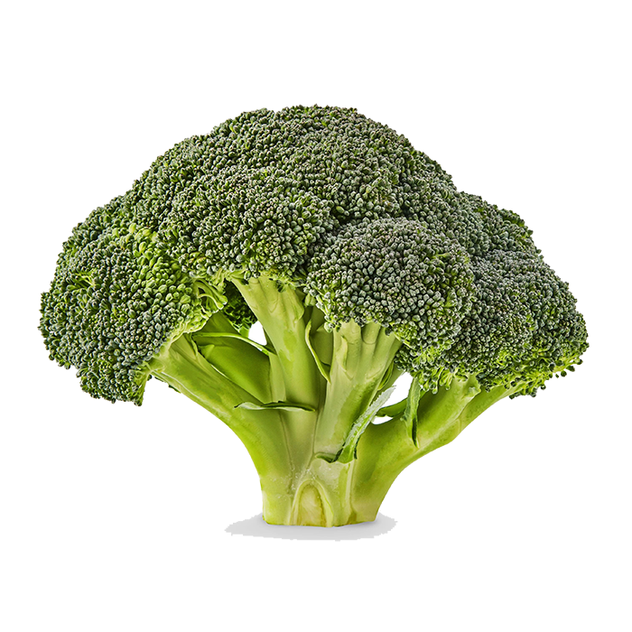 Broccoli